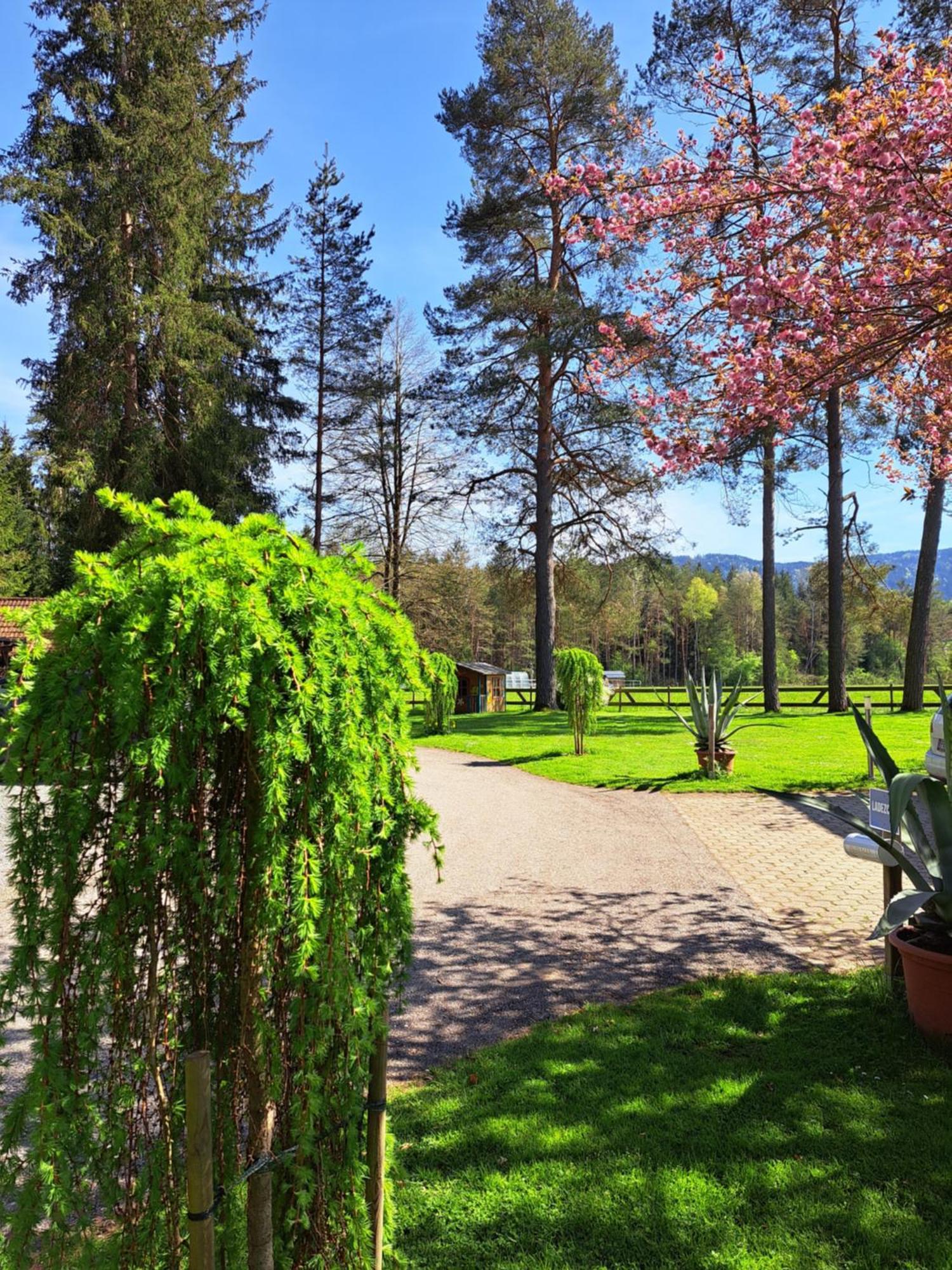 Pension Fischinger Feldkirchen in Kärnten Buitenkant foto