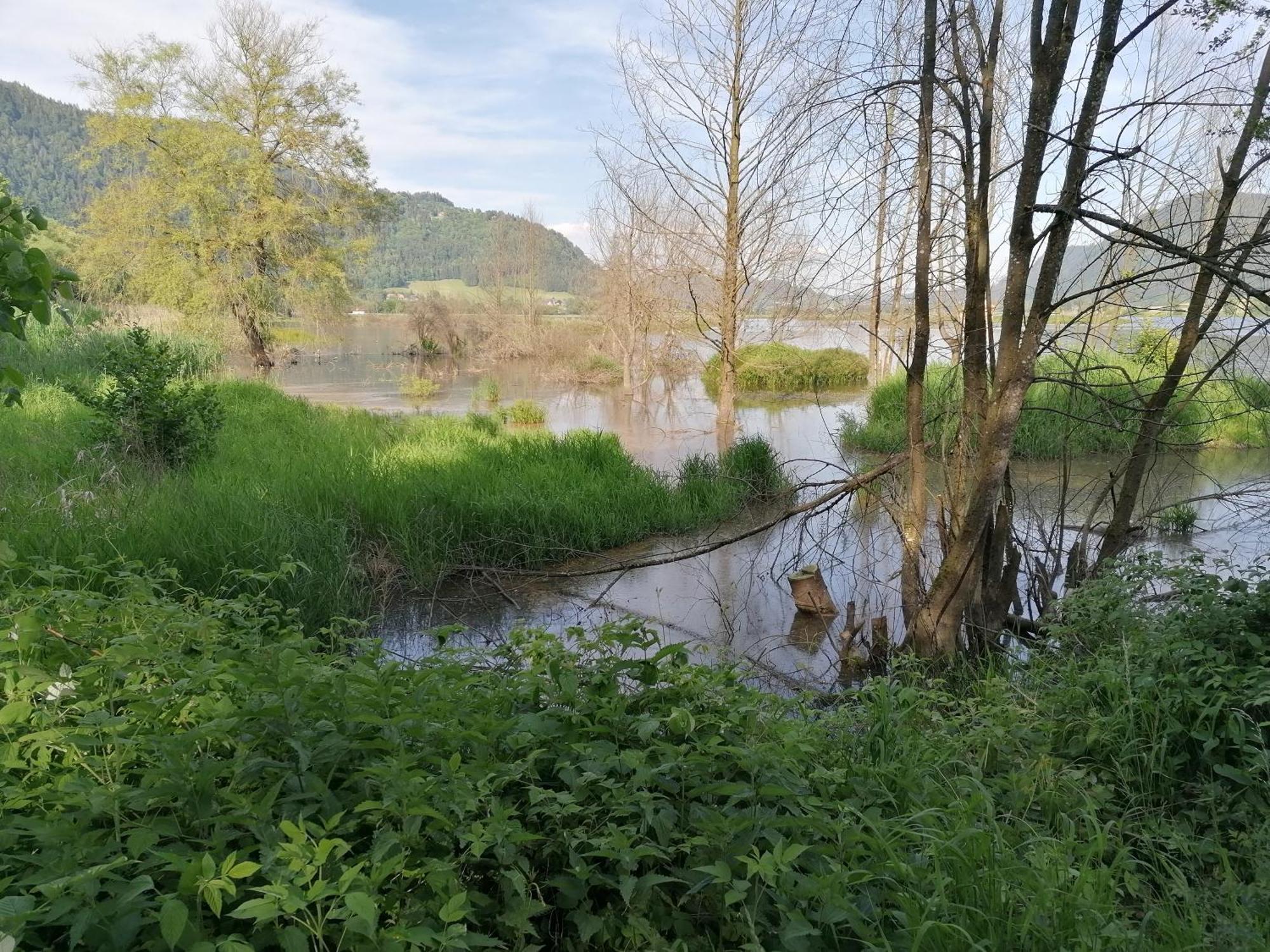 Pension Fischinger Feldkirchen in Kärnten Buitenkant foto